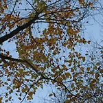 Chez Fred Et Cecile 3* Verdilly