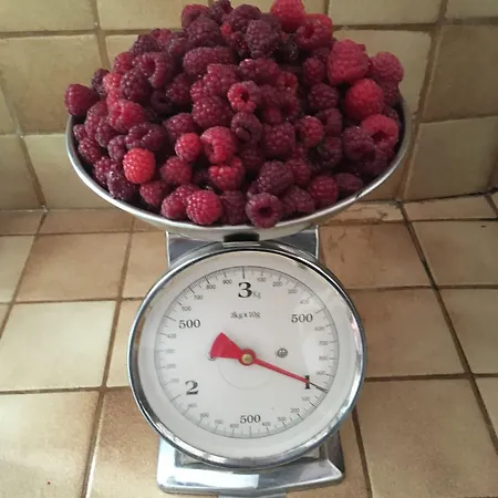 Chez Fred Et Cécile