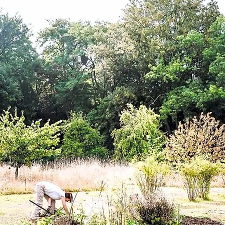Bed & Breakfast Chez Fred Et Cecile Verdilly