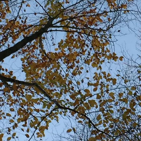 Chez Fred Et Cecile 3* Verdilly