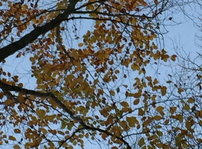 Chez Fred Et Cecile 3* Verdilly